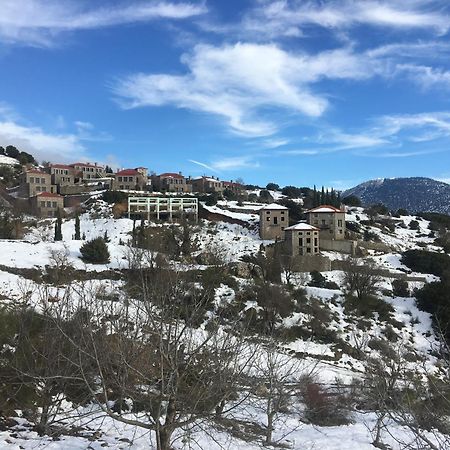 Plethora Arachova Luxury Chalet Exterior foto