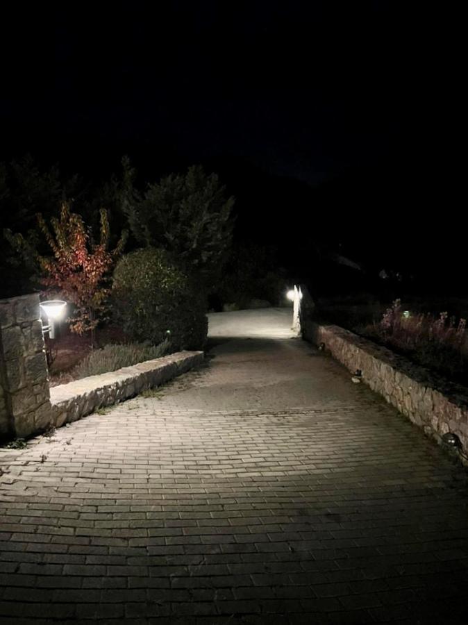 Plethora Arachova Luxury Chalet Exterior foto