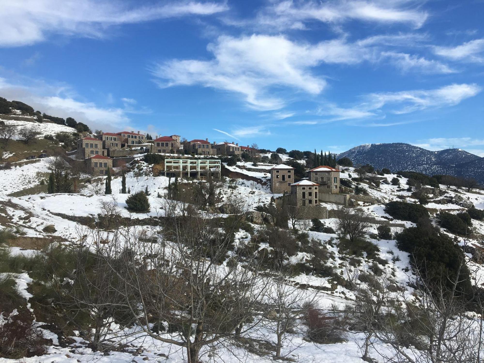 Plethora Arachova Luxury Chalet Exterior foto